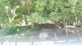 仁徳天皇陵のまわりにある帆立貝形古墳