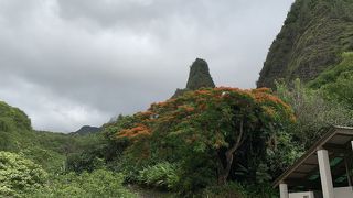 イアオ渓谷州立公園