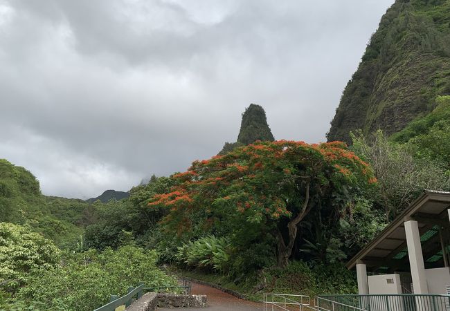 イアオ渓谷州立公園