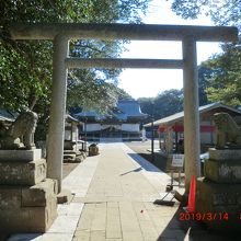 鳥居をくぐります