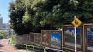 イラン大使館を横に