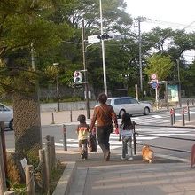 ちょっとした散歩道です。