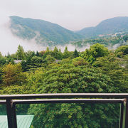 森に囲まれた別荘地