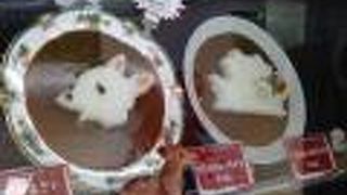 バンビカレー が 可愛い