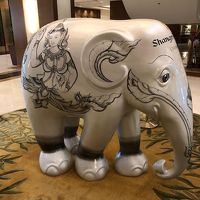 こちらにもゾウさん！