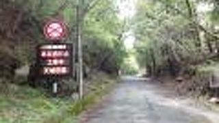 伊豆の踊り子ゆかりの随道