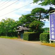 (あやめ園)　かきつばたや花菖蒲もあり、違いを見比べる事が出来ます