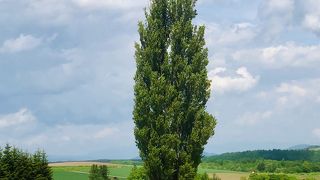 想像より大きかった。