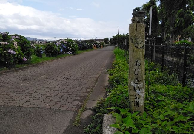 ６月１１日（木）に行って来ました