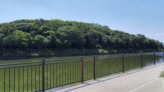 ７番目の大きさです