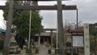 早咲きの桜が満開