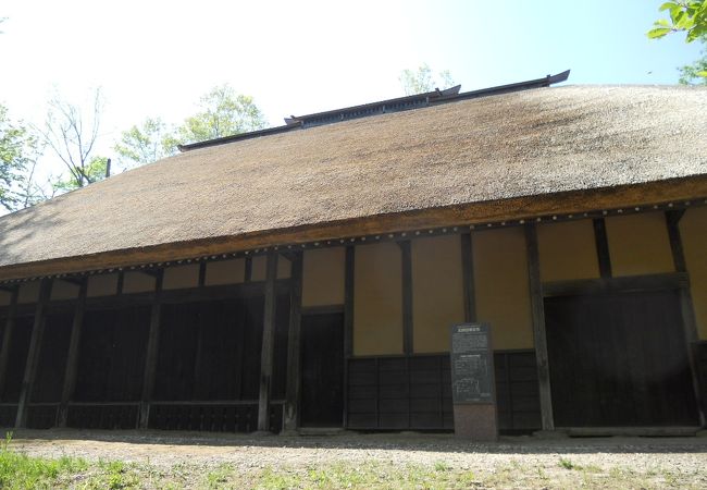 泉ヶ岳で偶然見つけました