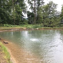 釣り堀　「タッケの池」