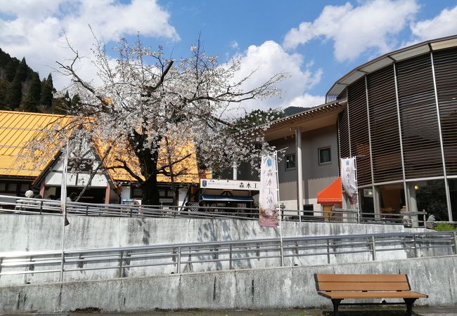 切り株動物園