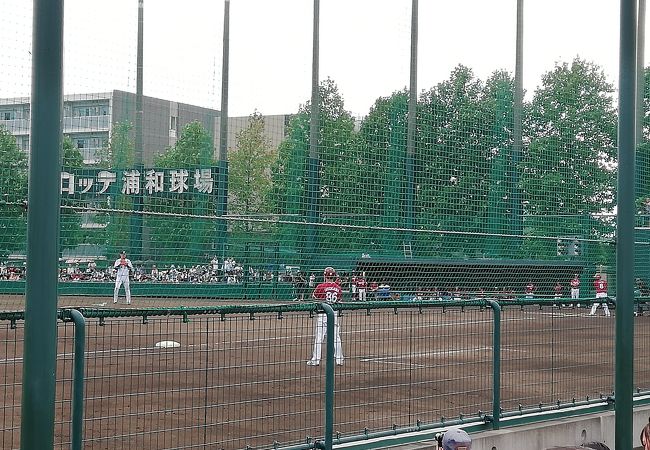 ロッテ浦和球場 クチコミ アクセス 営業時間 浦和 フォートラベル ロッテ浦和球場 クチコミ アクセス 営業時間 浦和 フォートラベル