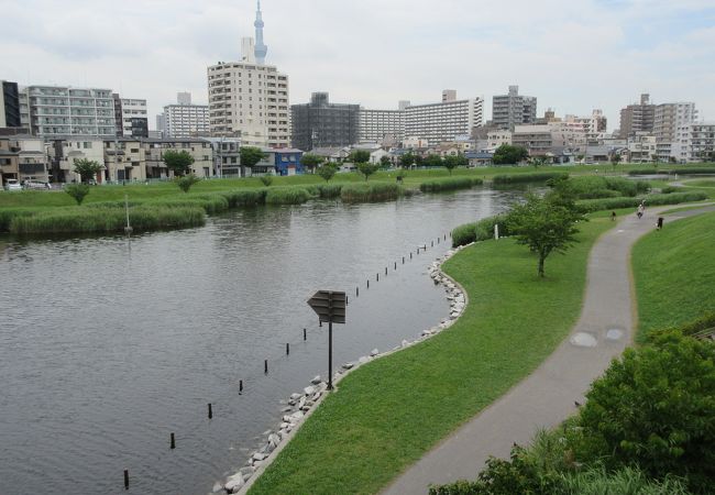 旧中川水辺公園 クチコミ アクセス 営業時間 亀戸 フォートラベル