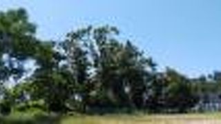 履中天皇陵の外堀に接して造られました