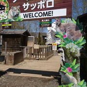 北海道のサファリパーク