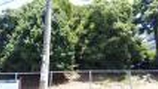 三国ヶ丘駅から歩いてすぐ