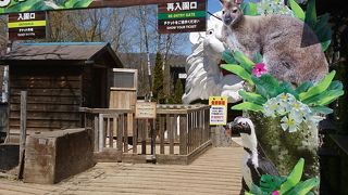 北海道のサファリパーク