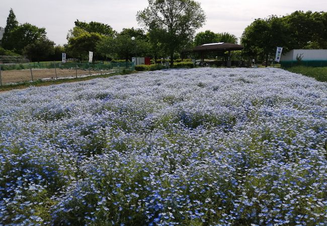 名古屋市農業文化園・戸田川緑地