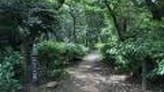 あじさいの小径がある