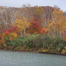 紅葉が素晴らしい