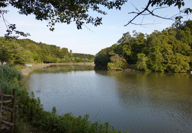 坂田ヶ池総合公園