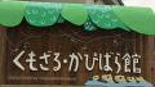 クモザルとカピバラがいる