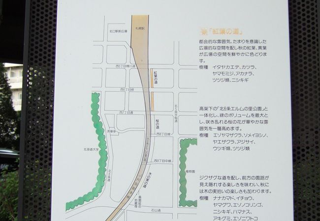 札幌桑園停車場緑道線 木の実の道 クチコミ アクセス 営業時間 札幌 フォートラベル