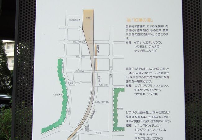 札幌桑園停車場緑道線 木の実の道 クチコミ アクセス 営業時間 札幌 フォートラベル 札幌桑園停車場緑道線 木の実の道 クチコミ アクセス 営業時間 札幌 フォートラベル