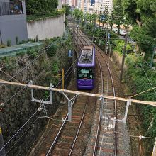 千登世橋から眺める都電