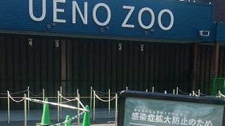 上野動物園　臨時休園中