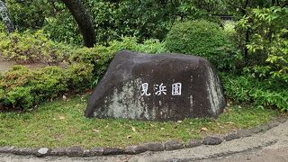 緑が落ち着きます