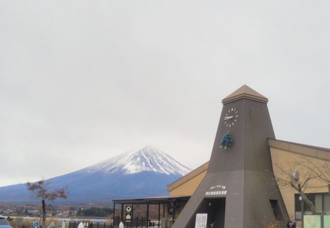 河口湖自然生活館 クチコミ アクセス 営業時間 富士五湖 フォートラベル