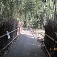 竹林の小径の脇道