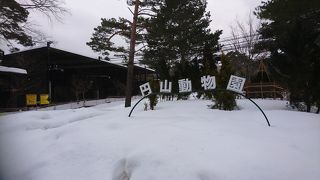 冬の動物園も乙なものです。