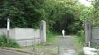 自然に囲まれ山寺のような趣でした