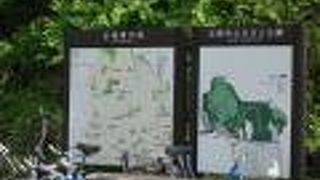 緑と水が豊かな大きい公園