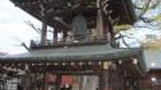 天然記念物に指定されたイチョウの木