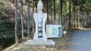 神奈川県立21世紀の森