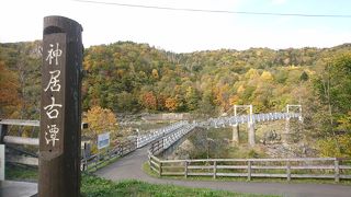 サイクリングロードもあります。