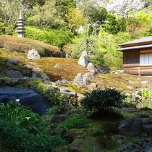 裏庭も必見です。