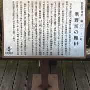 浜野浦の棚田