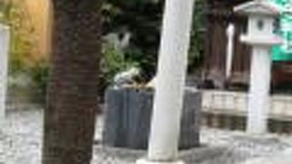 カエルのことです