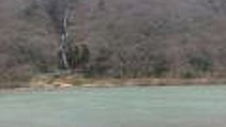 舟下りが人気です