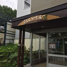 オランウータンに会える