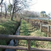 江戸時代の用水路沿いを武蔵野を感じながら歩く散歩道