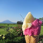 羊蹄山を眺める牧歌的な風景を眺めながら食べるアイス