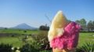 羊蹄山を眺める牧歌的な風景を眺めながら食べるアイス